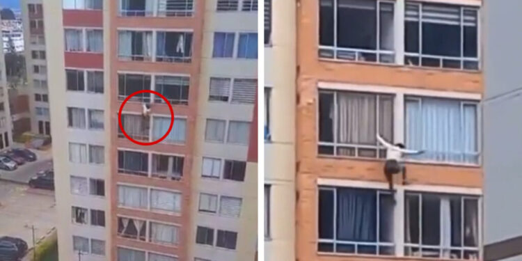Video. Mujer MUERE al caer de un 7° piso durante SISMO de 6.1 en Colombia