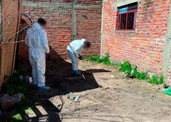 Caso Lagos de Moreno: hallan cadáveres en una finca, ¿son los jóvenes desaparecidos?