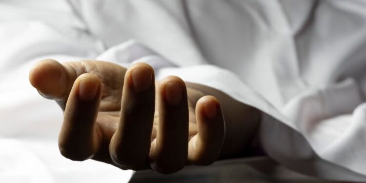 Triste final: va a ver a su hijo a Reynosa, ahí lo atropellan y muere