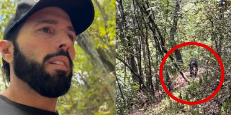 “Ponchoaventuras” son ciertas: Poncho De Nigris y su hijo Ponchito son perseguidos ¡por un OSO!