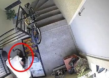 Video. Despiadado ARROJA a PERRITO desde un 3er piso; piden justicia en Puebla