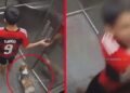 Video. ¡Mejores amigos!: niño salva a su perrito de morir en elevador