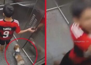 Video. ¡Mejores amigos!: niño salva a su perrito de morir en elevador