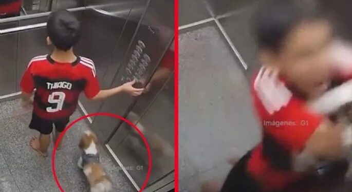 Video. ¡Mejores amigos!: niño salva a su perrito de morir en elevador