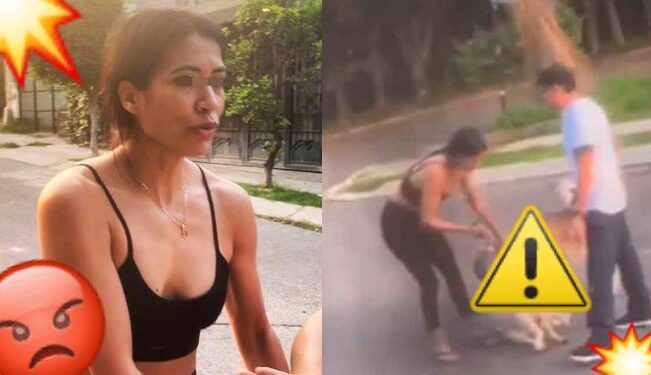 Video. ¡Tonalá exige justicia para ‘Huesos’!: otro perro lo mató por orden de su dueña