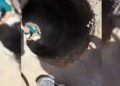 Cae NIÑO a coladera abierta ARRASTRADO por la lluvia, ¡todavía no aparece!