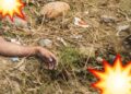 Localizan cuerpo PUTREFACTO en Río Bravo y su identidad es un MISTERIO