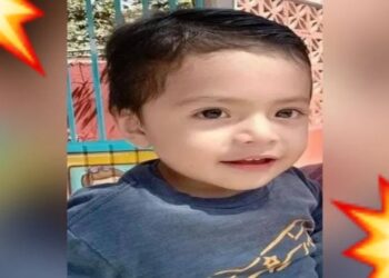 Alerta Amber: ¡Ayúdanos a encontrar a BRUNO, solo tiene 2 añitos!