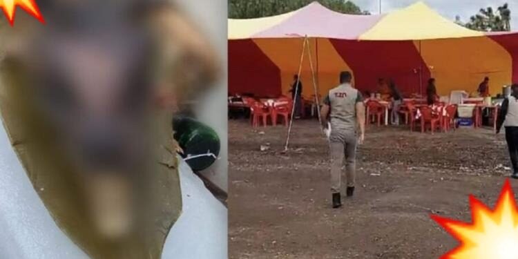 ¿¡Tacos de “GUAGUACOA”!?, denuncian a negocio por vender barbacoa de PERRO