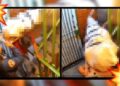Video. Misteriosa muerte: captan a ‘poli’ bajando un cadáver por escaleras en CDMX