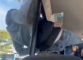 Video. Karma instantáneo: ladrón queda ATORADO en ventanilla de ‘bus’ al tratar de escapar