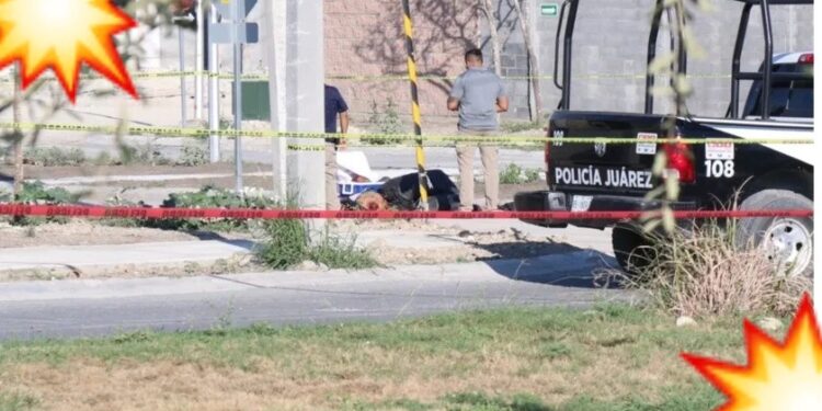 SANGRIENTO Nuevo León: se reportan 18 HOMICIDIOS en un día