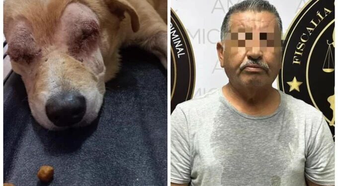 Agarran a DESALMADO que apuñaló y le sacó los ojos a un PERRITO