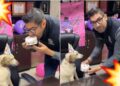 Video. “¿Por qué no me dijeron?”: Alcalde muerde el pastel especial de su mascota