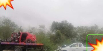 Fatal ‘carreterazo’: MUEREN prensados al CHOCAR contra autobús en la Victoria-Monterrey