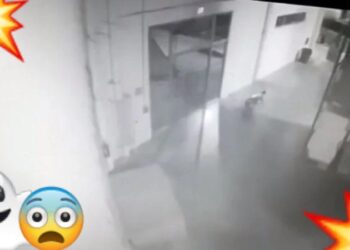 VIDEO. ¡Aterrador!, guardia es atacado por fantasma en maquiladora de Nuevo Laredo
