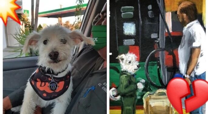 Justicia para ‘Gasolín’: perrito adoptado por empleados de gasolinera fue envenenado