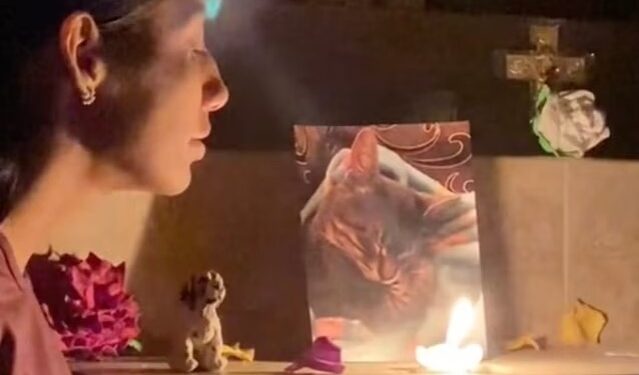 Video. Joven pone altar para su GATITO y lo que sucede es ¡IMPRESIONANTE!