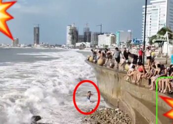 Video. ¡Imprudente mujer ignora advertencia por huracán ‘Norma’ y cae al mar!