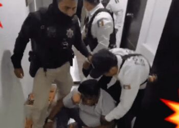 Video. ¡Se dan con todo!, diputados de MORENA arman trifulca; hay 20 detenidos