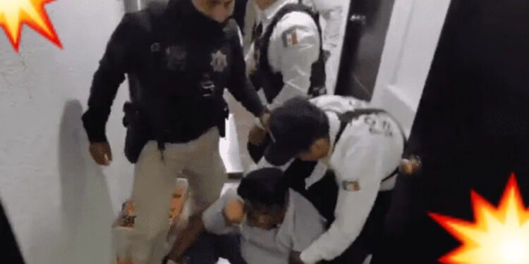 Video. ¡Se dan con todo!, diputados de MORENA arman trifulca; hay 20 detenidos