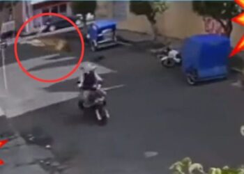 ¿Es un pájaro?, ¿es un avión?…¡es el PERRO volador!: can se lanza contra motociclista desde un techo