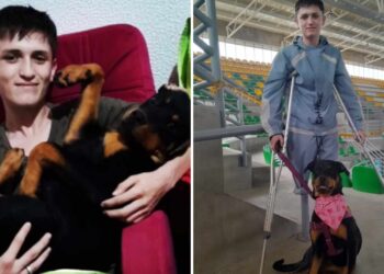 Video. Juntos contra todo: jovencito futbolista pierde una pierna al salvar a su perrita