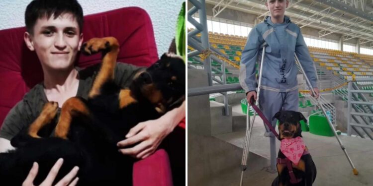 Video. Juntos contra todo: jovencito futbolista pierde una pierna al salvar a su perrita