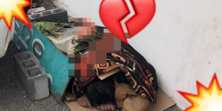 ¡Perritos daban calor a INDIGENTE a punto de MORIR de hipotermia en Matamoros!