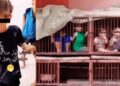 VIDEO. Horror: Hamás secuestra y encierra a NIÑOS en JAULAS para animales