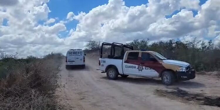 Investigan identidad de cadáver encontrado ‘en los huesos’ en Reynosa