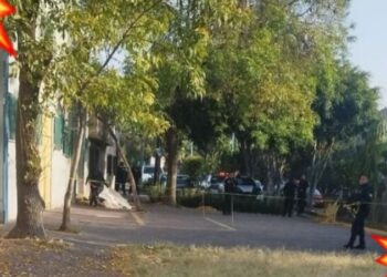 ¡Abandonan cuerpecito de BEBÉ dentro de una bolsa en CDMX!