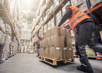 Gestión de Transporte Marítimo y Operaciones Portuarias: Pilares de la Economía Global